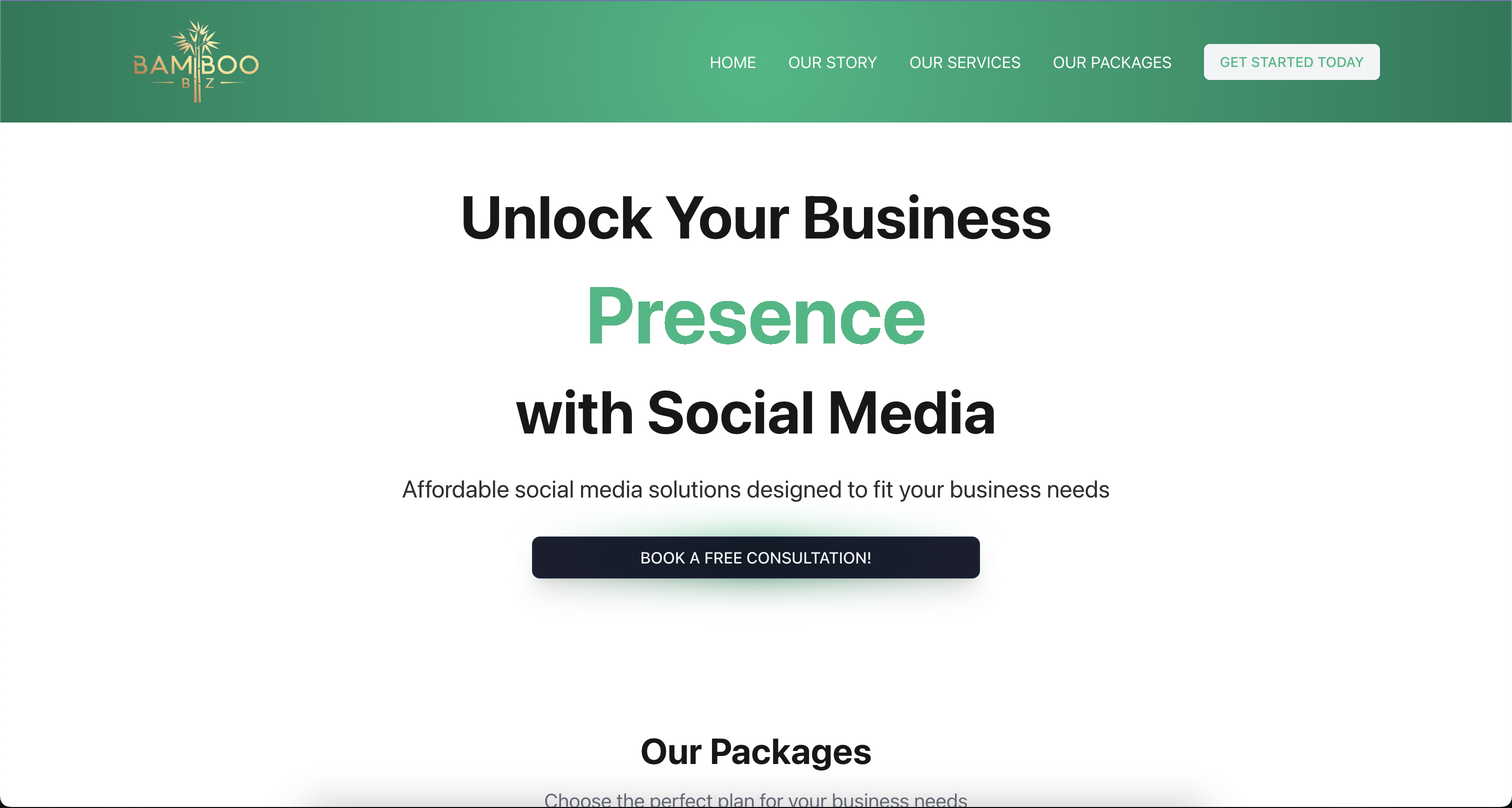 Bamboo Biz